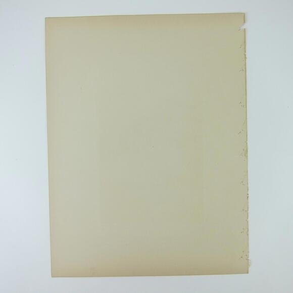 Antique 1898 Victorian Art Bird Print Lithograph Partridge Quail Louis Prang - Picture 7 of 9